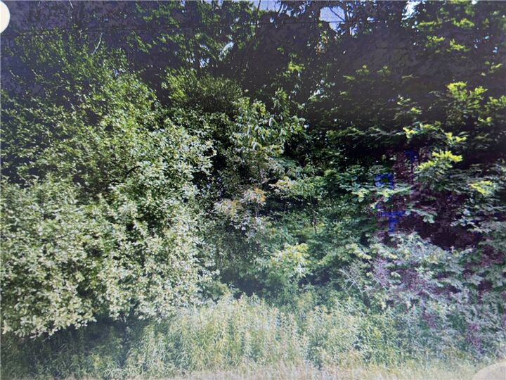 111 Letter S Hill Road  Berkshire NY 13736 photo