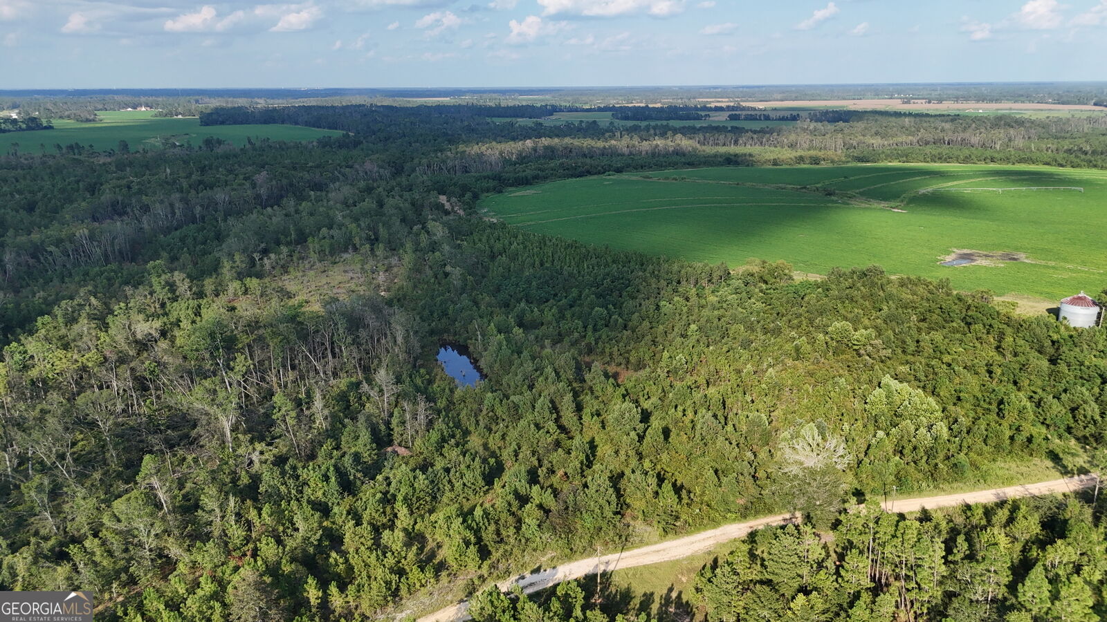 Property Photo: 0 Rhonda Coleman Road GA 31539