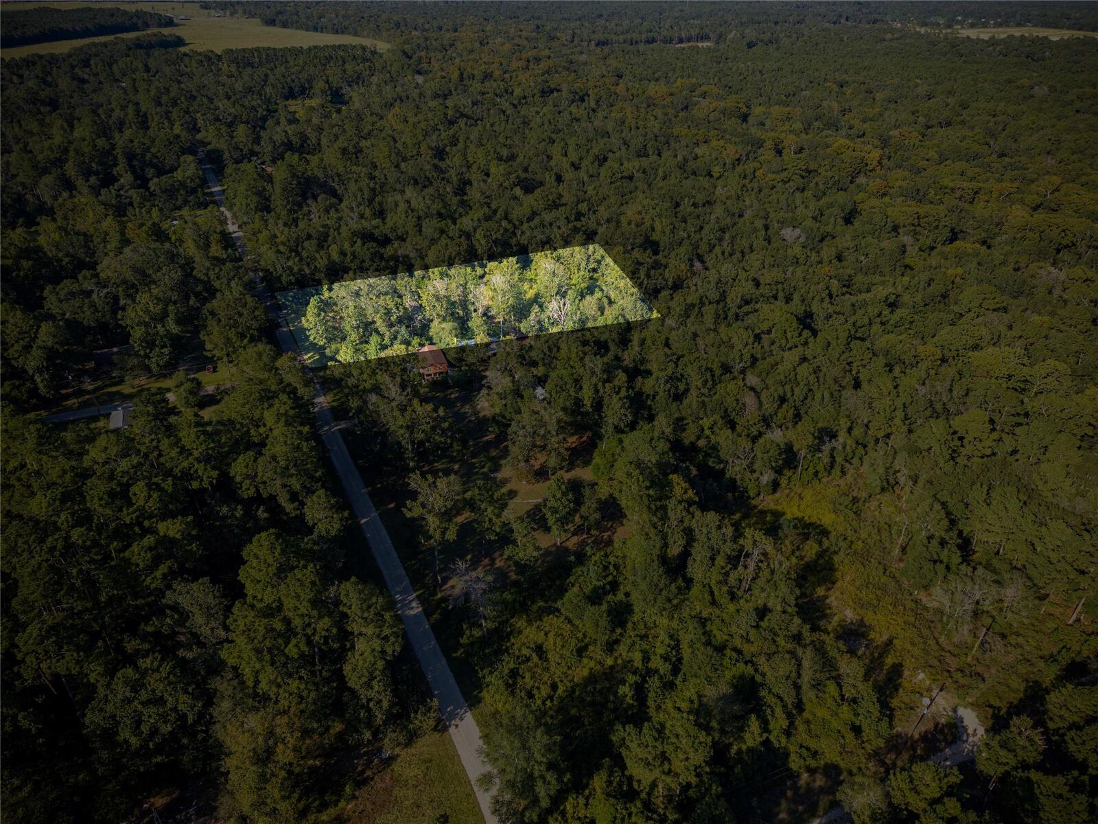 Property Photo:  245 County Road 3707  TX 77372 