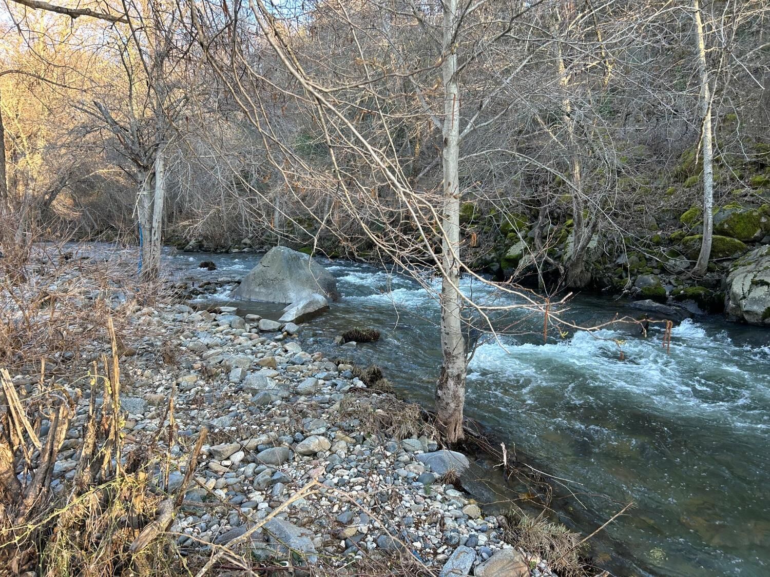 Property Photo:  14519 Beitler Rd  CA 95959 