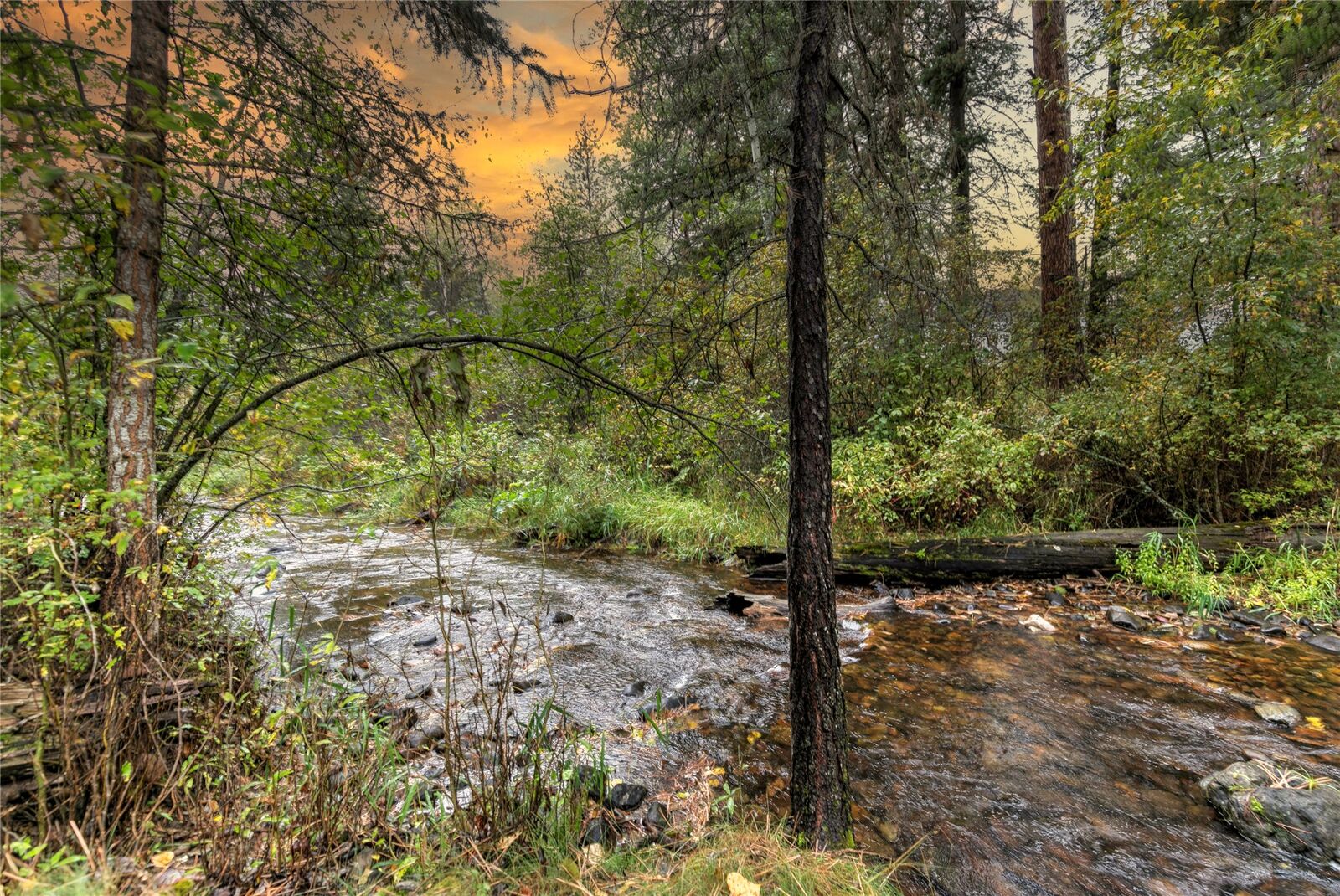 Property Photo:  1715 Streamside Court  MT 59808 