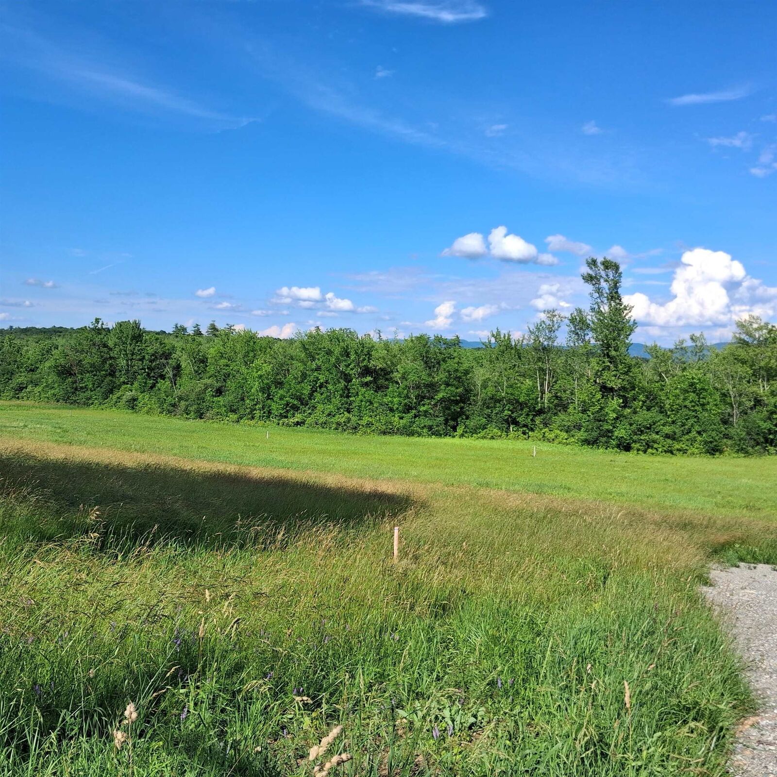 Property Photo:  3495 Spear Street  VT 05445 