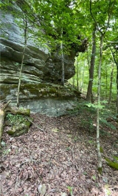 Property Photo:  293 Cr-315  AR 72632 
