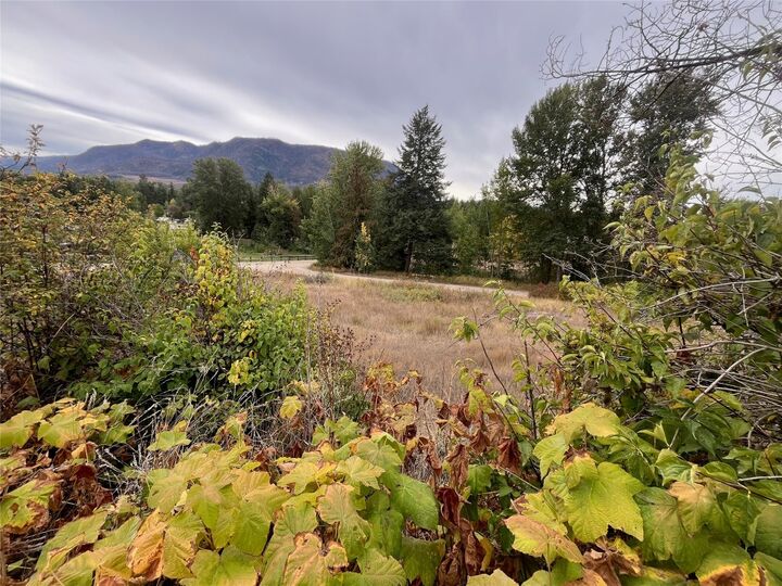 Photo de la propriété:  2481 Squilax Anglemont Road  BC V0E 1M4 