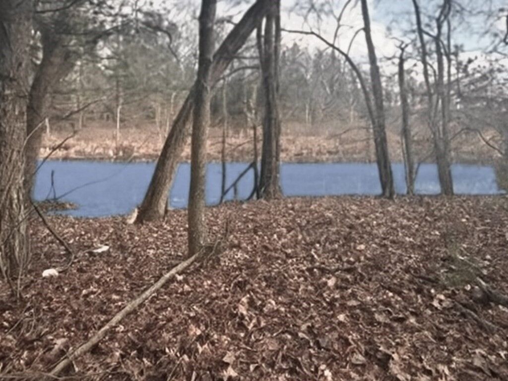 Property Photo:  Lot 32 Sheep Pasture Rd.  MA 01077 