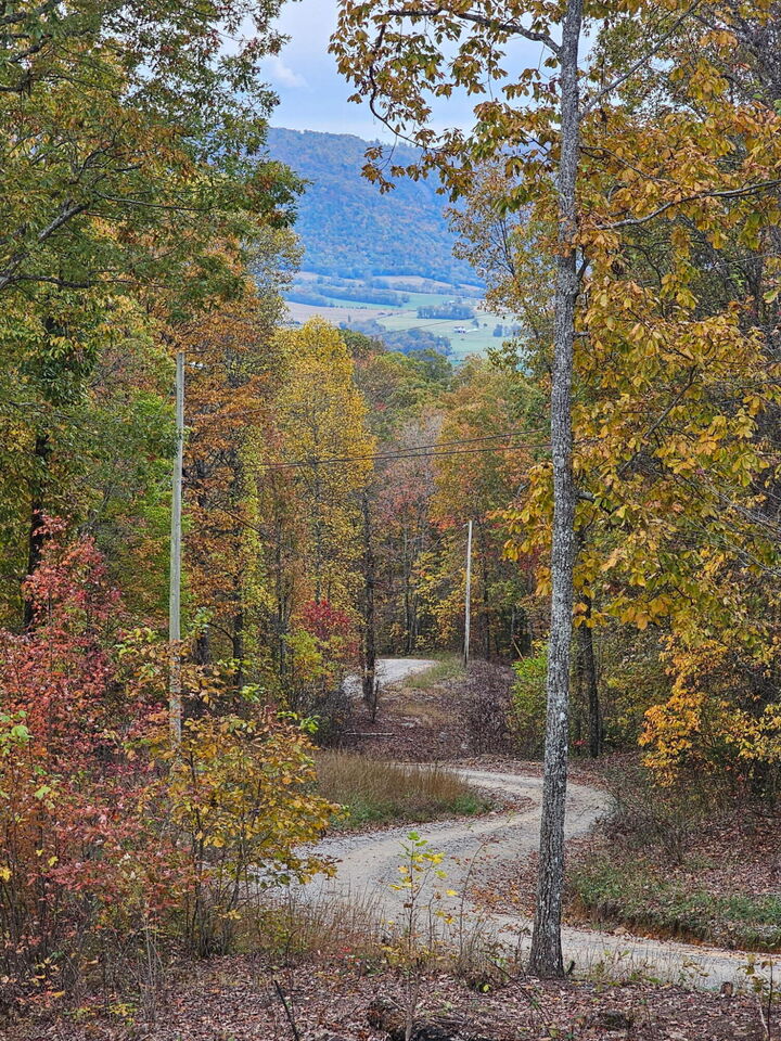 Property Photo:  0 Overview Road  TN 38555 