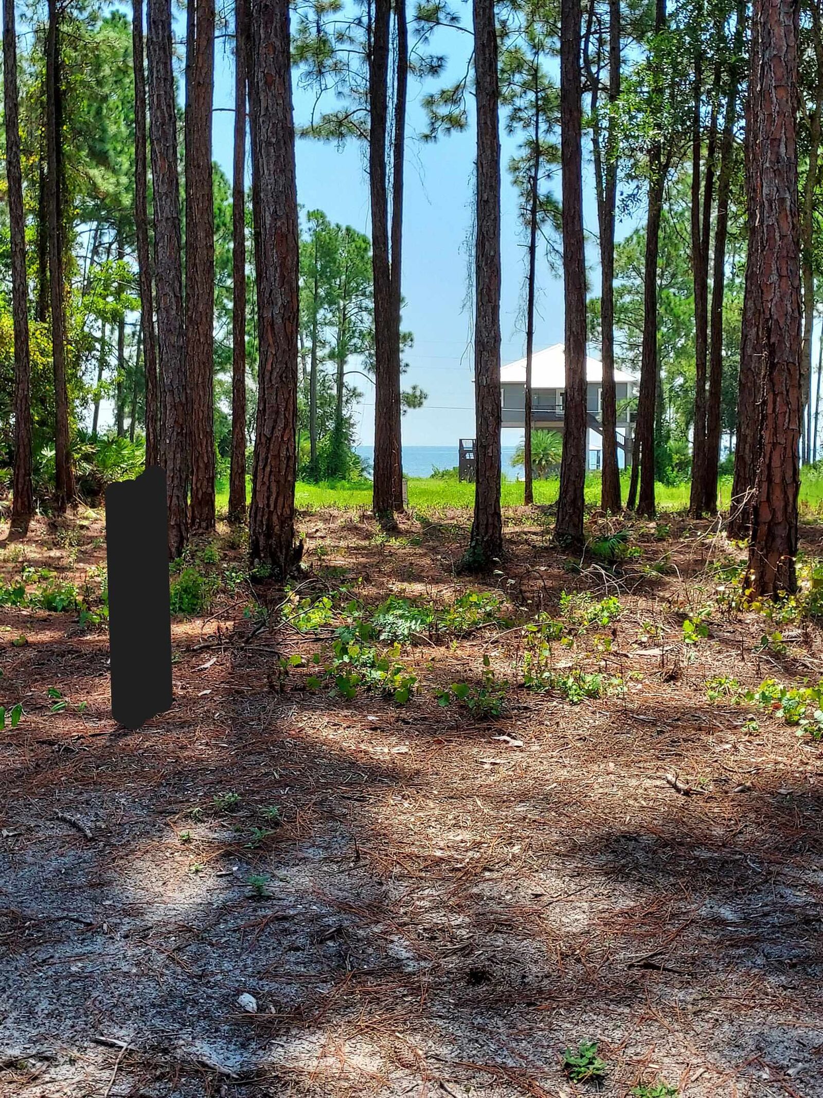 Property Photo:  164 Royal Tern Way  FL 32322 