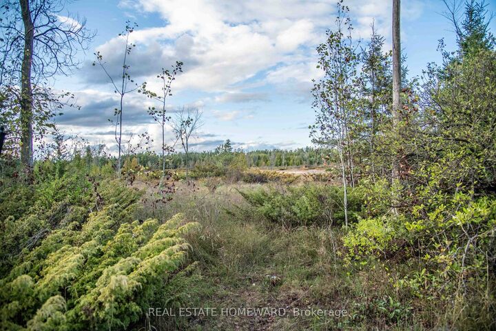 Lot 256 McGuire Beach Road — photo 1