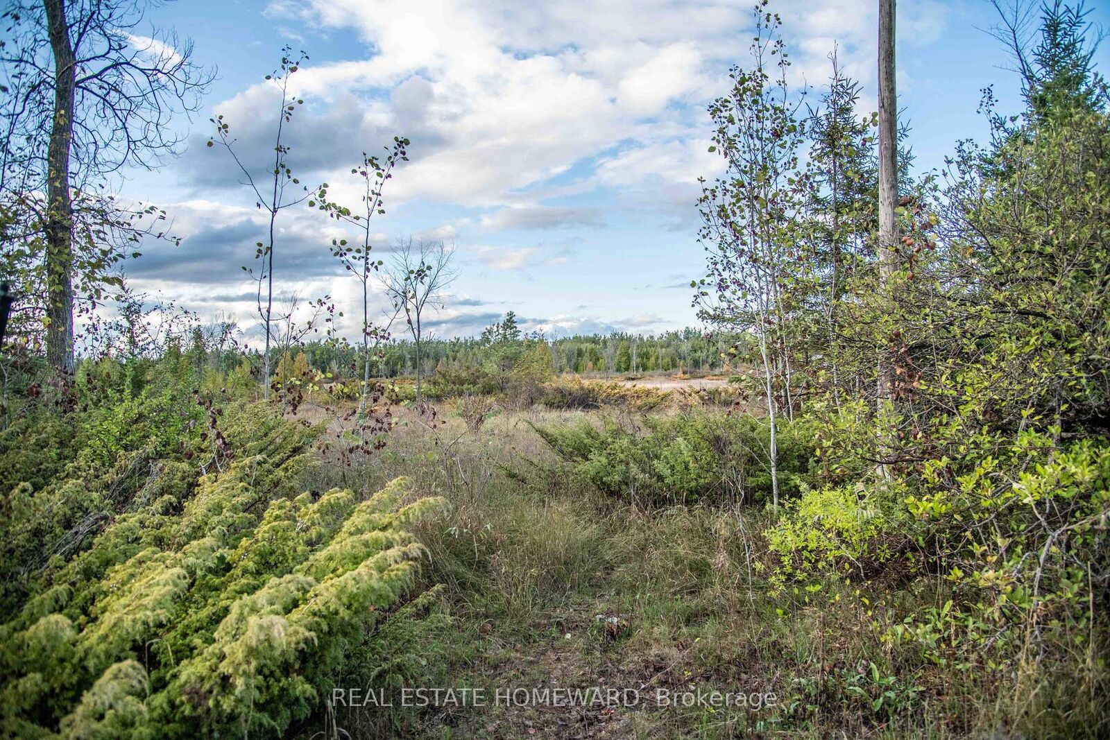 Property Photo:  Lot 256 McGuire Beach Road  ON K0M 2B0 