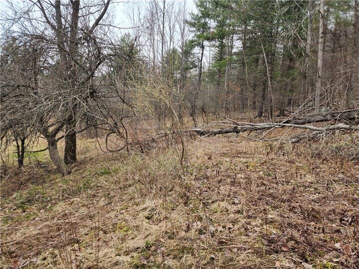 Property Photo: 6220 Feenaughty Hill Road S NY 14823