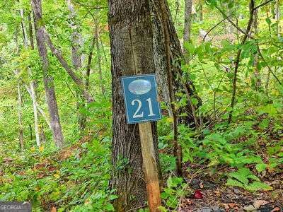 Property Photo: Lot 21 Skyview Overlook NC 28904