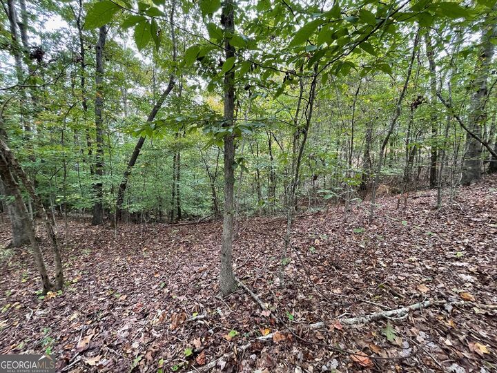 Property Photo:  Lot 296 Oconee Avenue  SC 29693