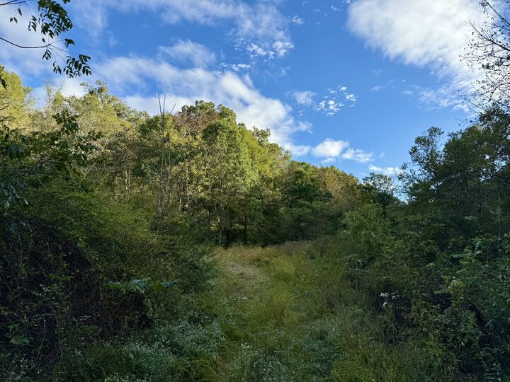 Property Photo:  806 Brandon Hollow Rd  TN 37352 