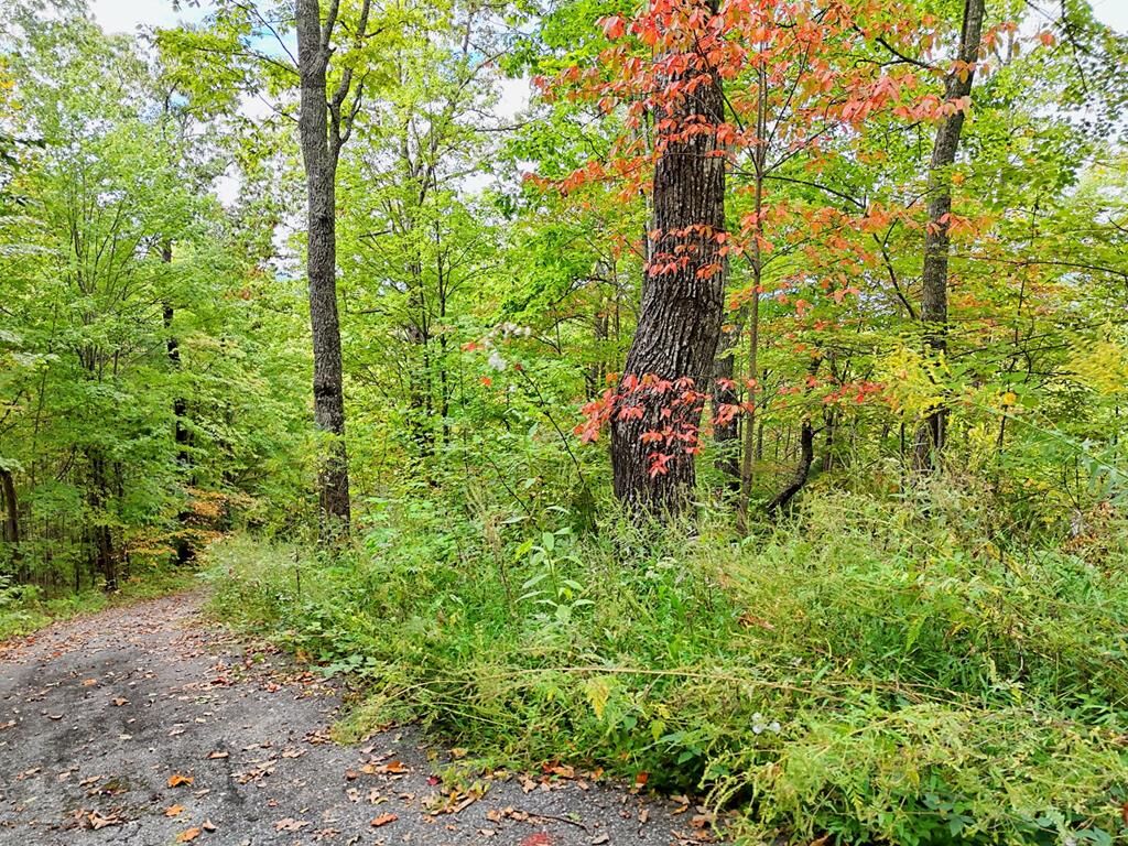 Property Photo: Lot 23 Skyview Overlook NC 28904