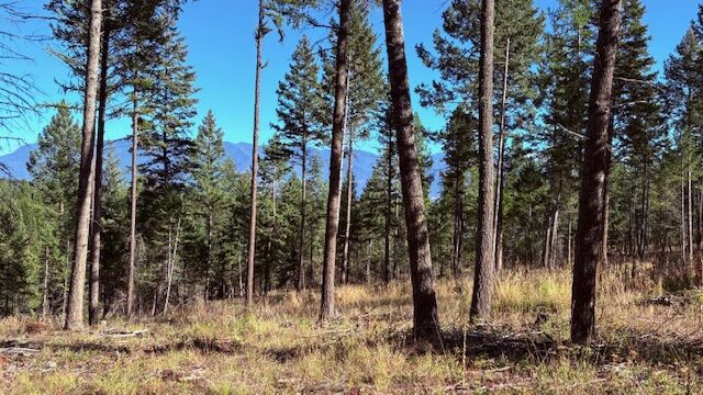 Nhn Soaring Eagle Drive  Whitefish MT 59937 photo