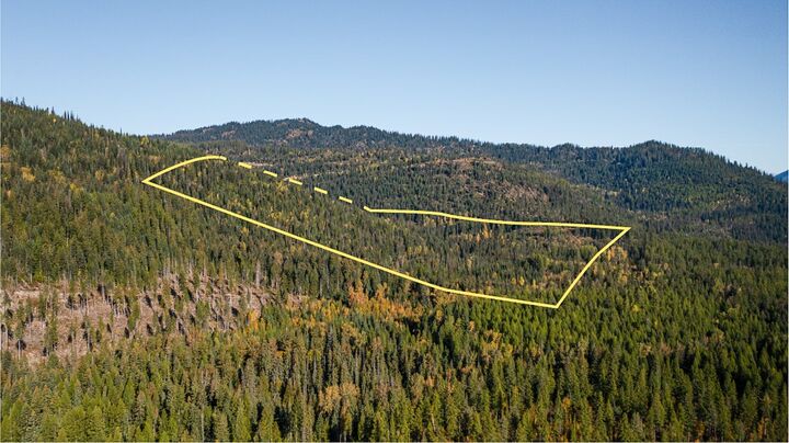 Nhn Kelly Mountain Road  Columbia Falls MT 59912 photo