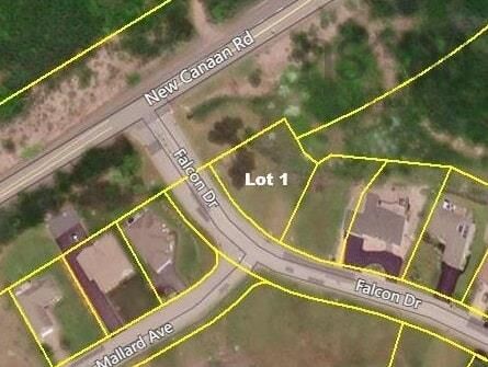 Lot 1 Falcon Drive — photo 1