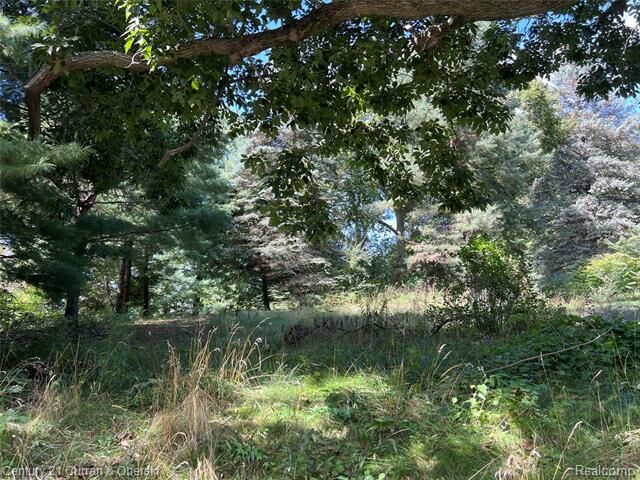 24917 Martindale Road  Lyon Twp MI 48178 photo