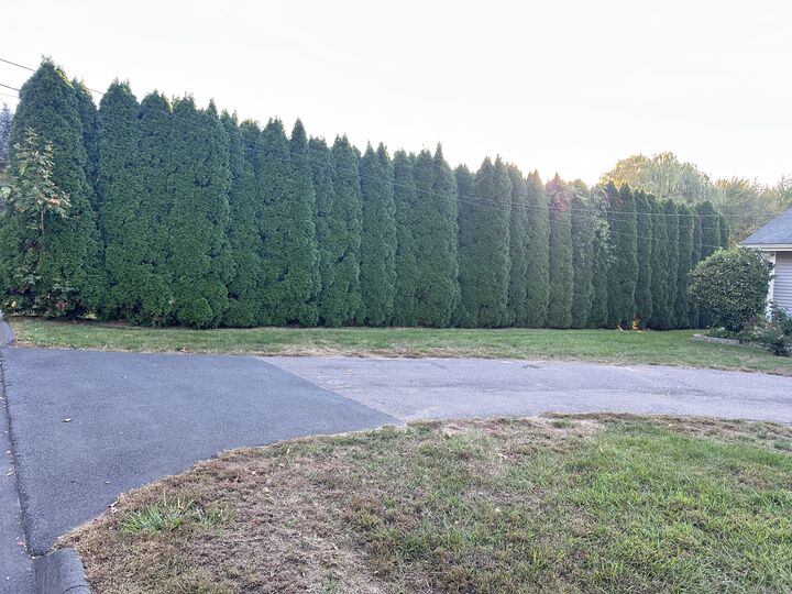 Property Photo:  37 Ridge Road  CT 06074 