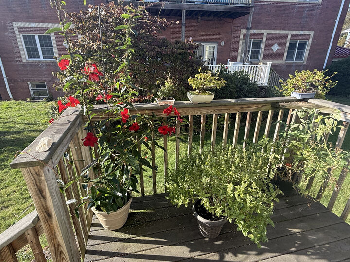 Property Photo: 87 Gerrish Avenue T2 CT 06512