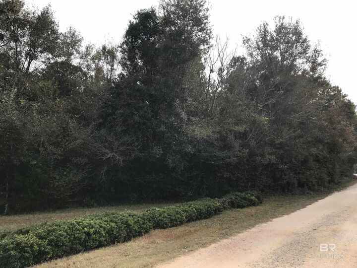 Property Photo: 24050 N River Road AL 36526