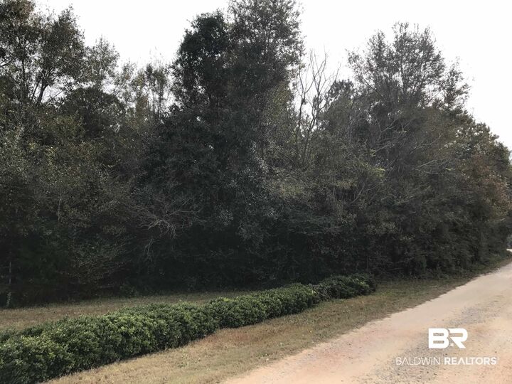 Property Photo: 24050 N River Road AL 36526