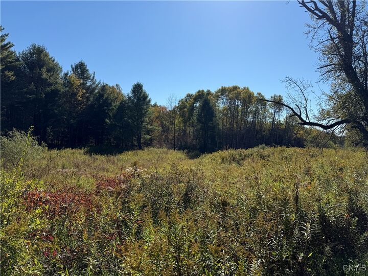 Property Photo: Shoemaker Road NY 14889