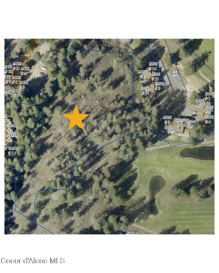 Nka Uknown  Rathdrum ID 83858 photo