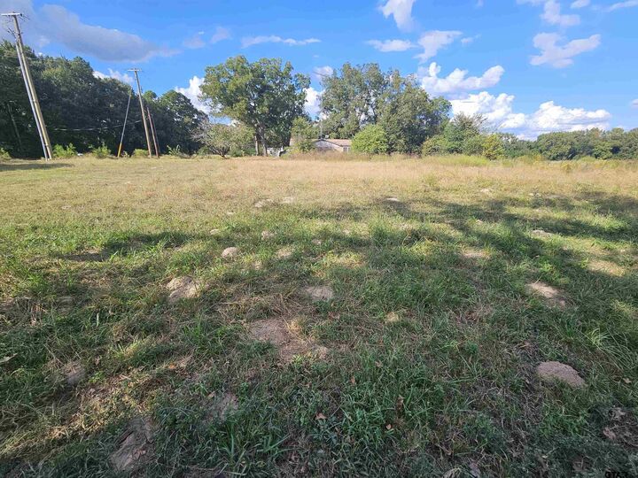 Property Photo:  Tbd Fm 315 & Cr 3316  TX 75758 
