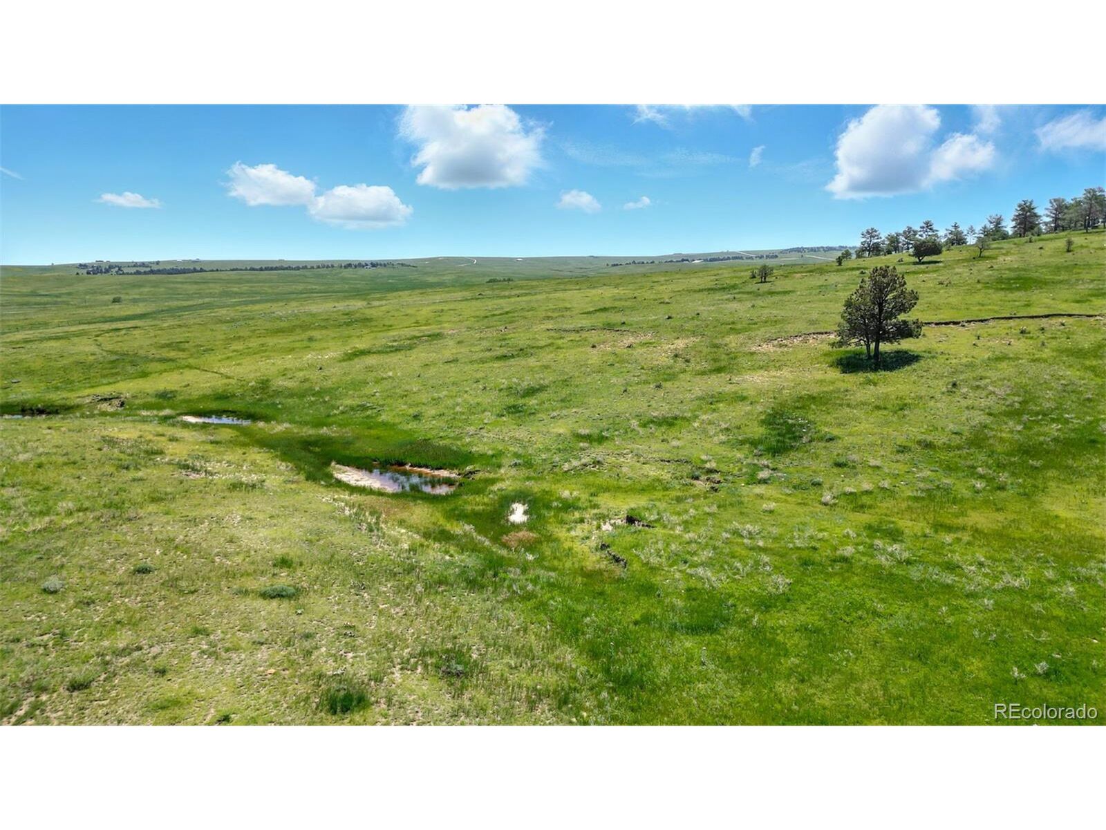 Property Photo:  Parcel #4 County Road 91  CO 80832 
