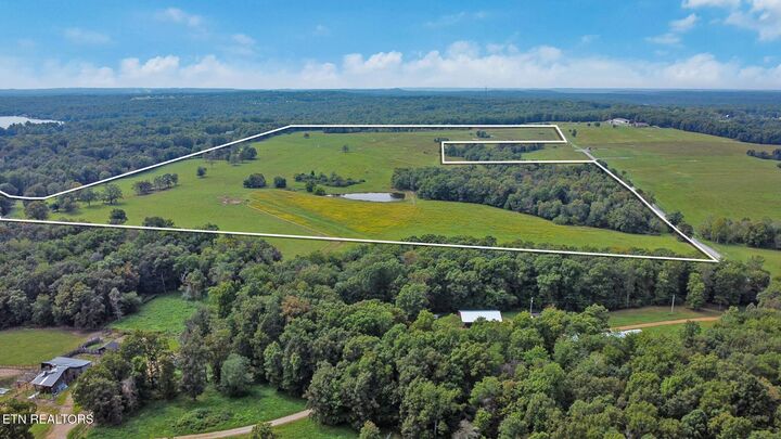 Property Photo:  Nicholson Drive-120 Acres +/-  TN 38572 