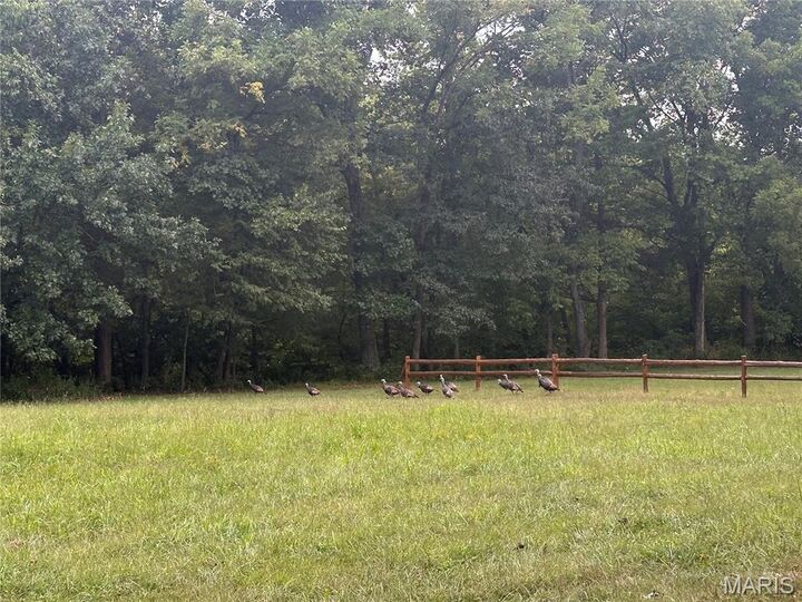 Property Photo:  130 Rolling Hills Drive  MO 63090