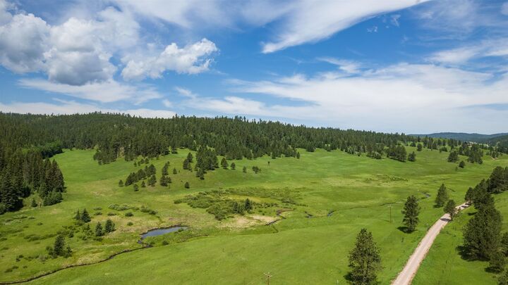 Property Photo: 10 Acres N Rochford Road SD 57754
