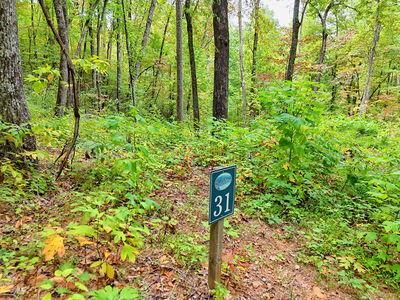 Property Photo: Lot 31 Skyview Drive NC 28904