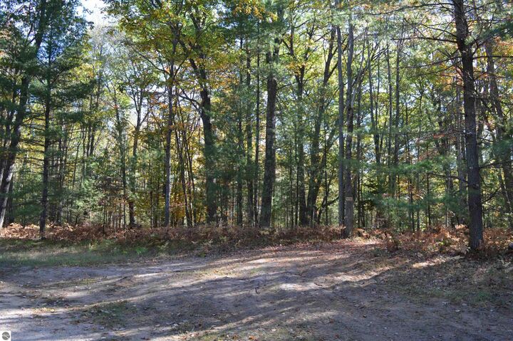 Property Photo: NE Rose Ridge Road MI 49646