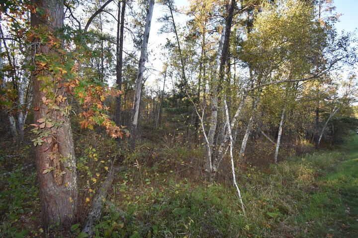 Property Photo: Tbd Belgian Drive MN 56472