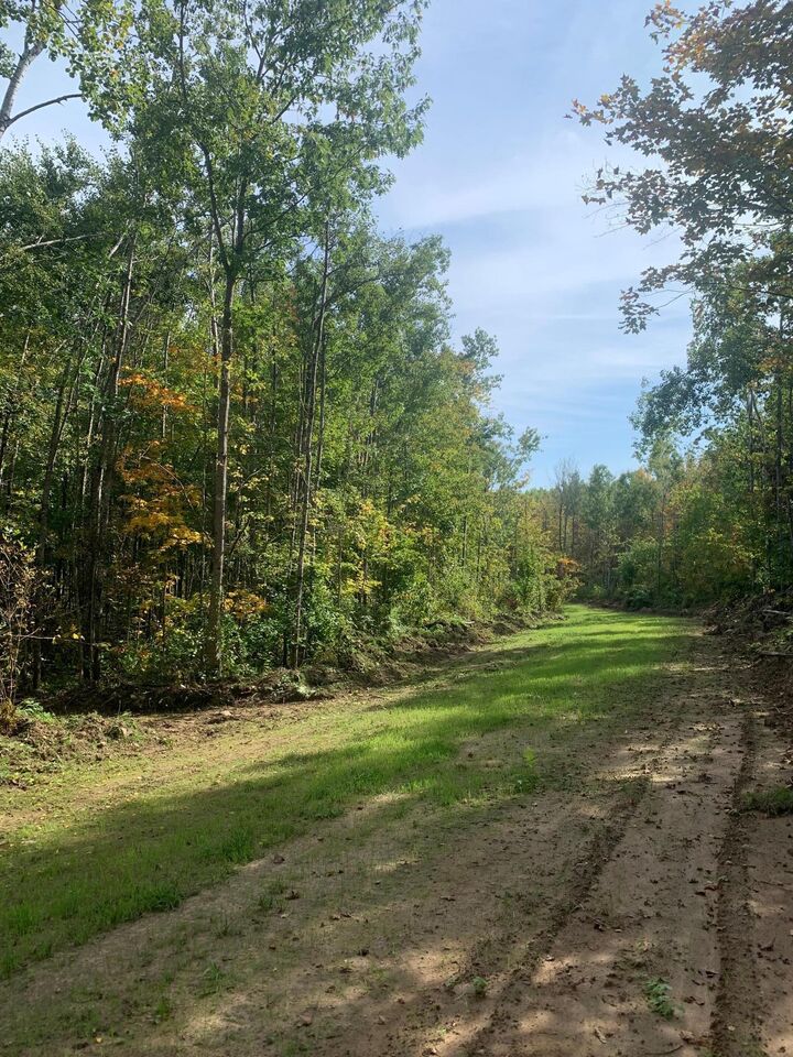 Property Photo:  Tbd County Road T 6  WI 54830 