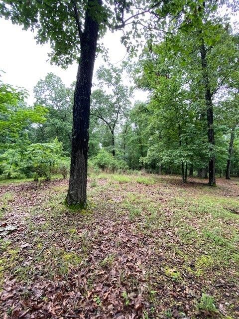 Property Photo:  Lot 5 Lakeview Drive  AR 72619 