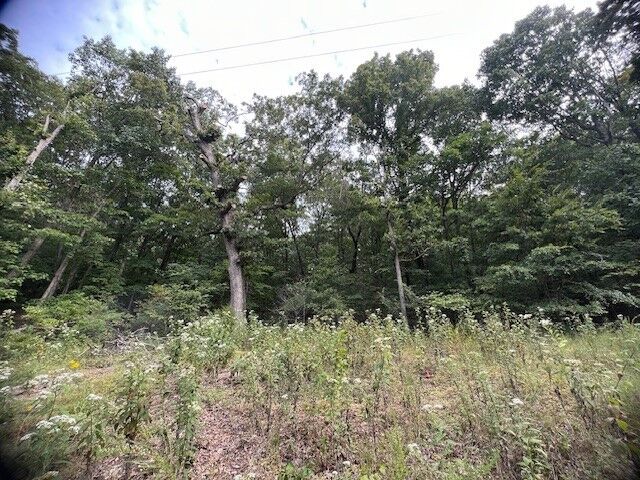 47 Cove Lane  Holiday Island AR 72631 photo