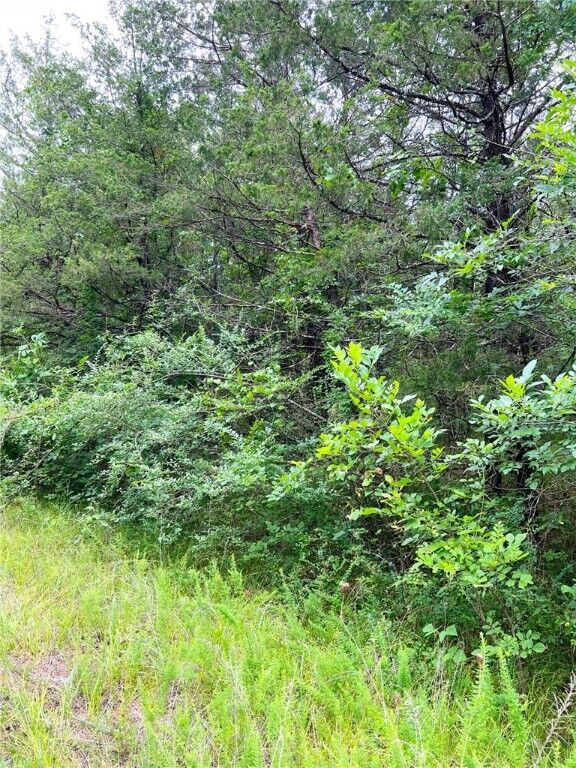 Property Photo:  Tbd Cedar Lane  AR 72644 