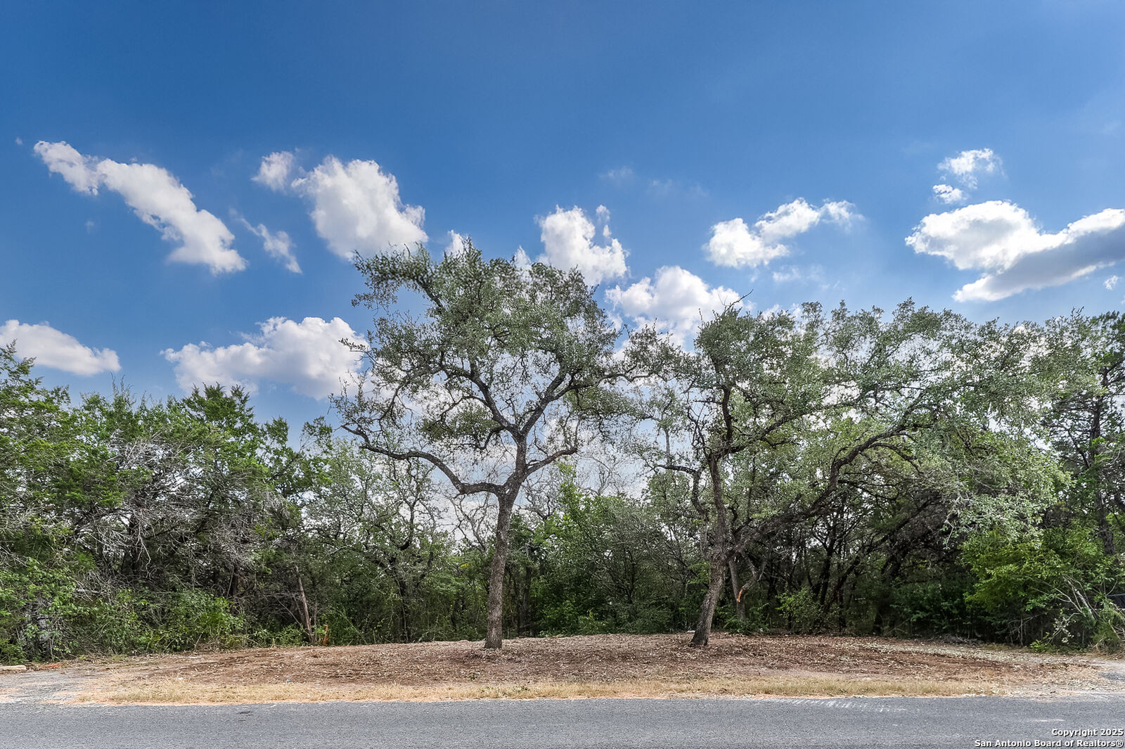Property Photo: 1010 Red Cloud Dr. TX 76030