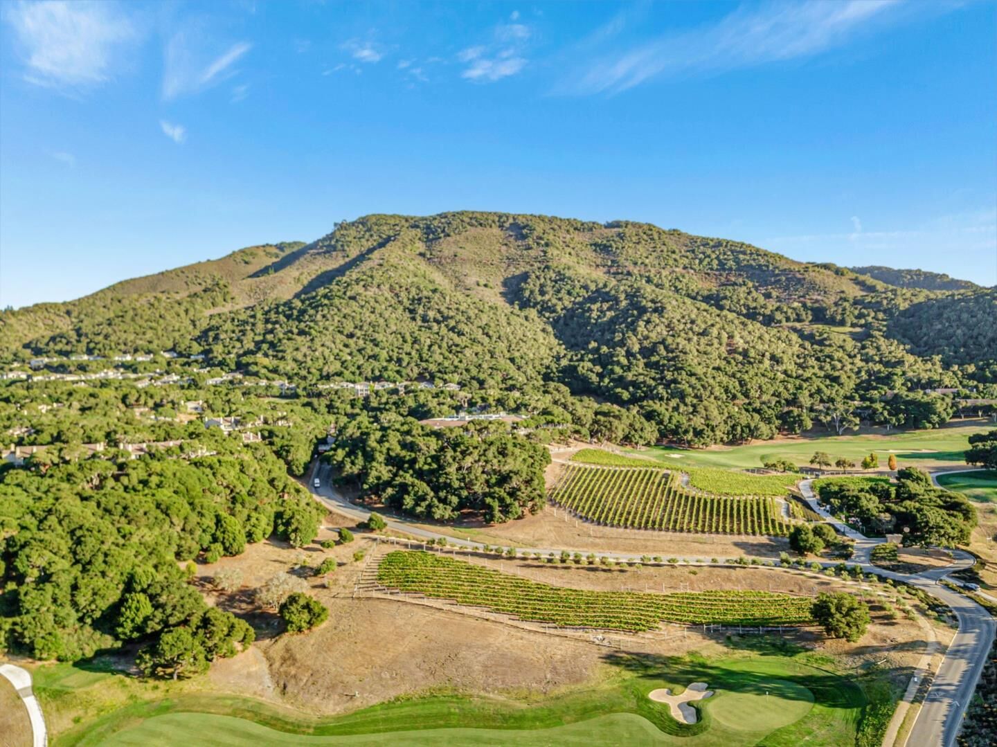 Property Photo:  Adamo Ranch, Carmel Valley Road  CA 93923 