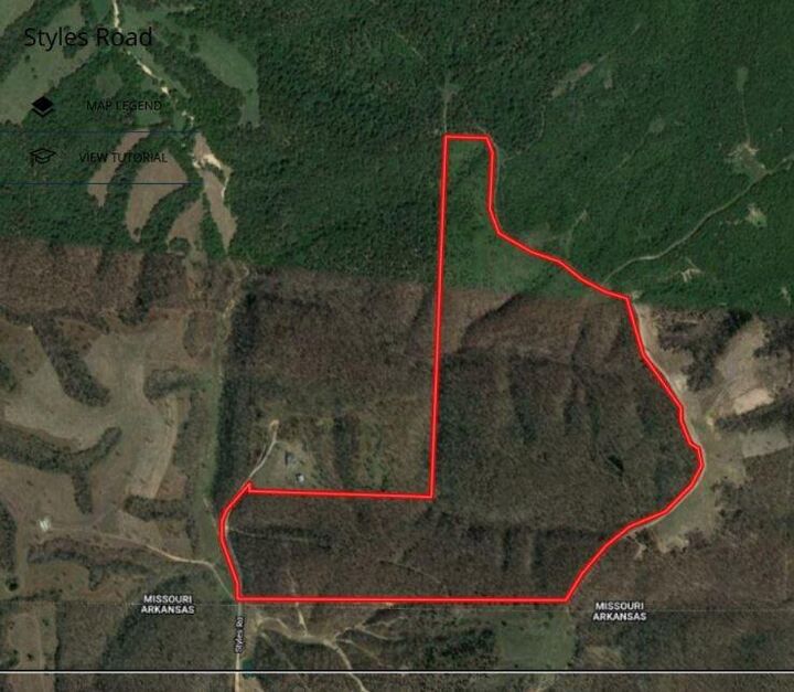 Property Photo:  Tract 2 Styles Road  MO 64854 