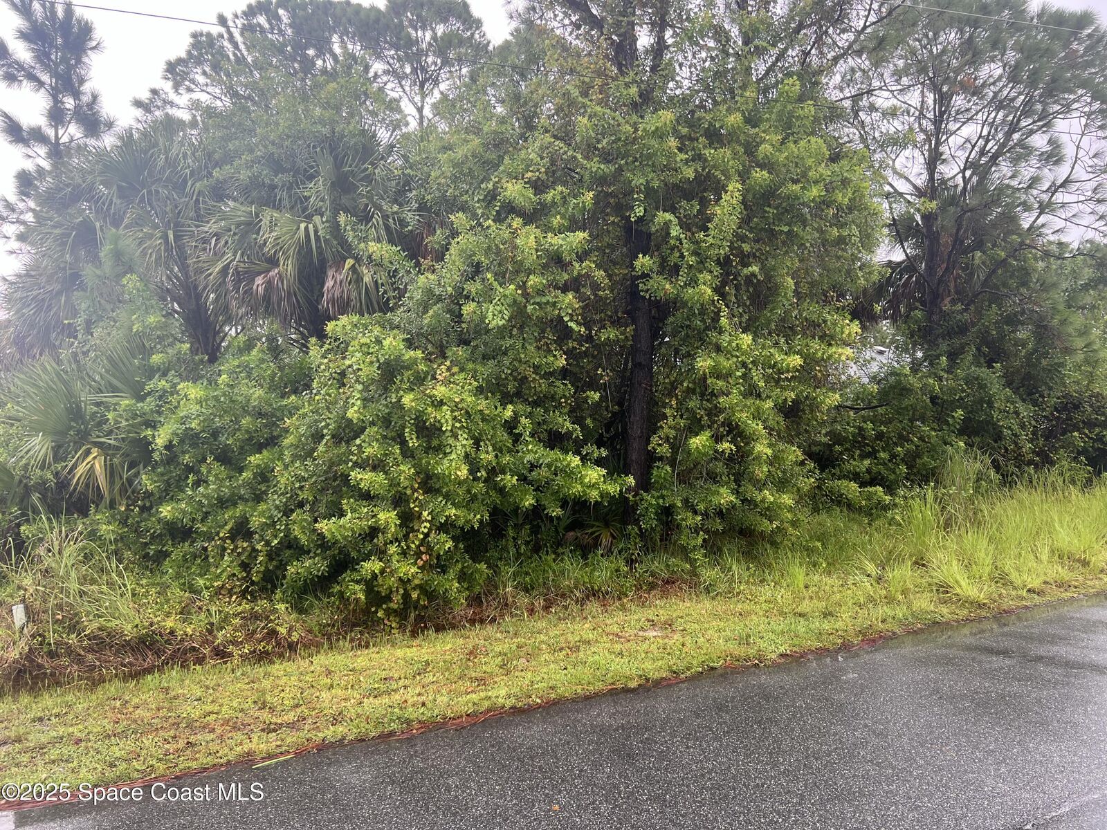 Property Photo:  149 Feldman Street SE  FL 32909
