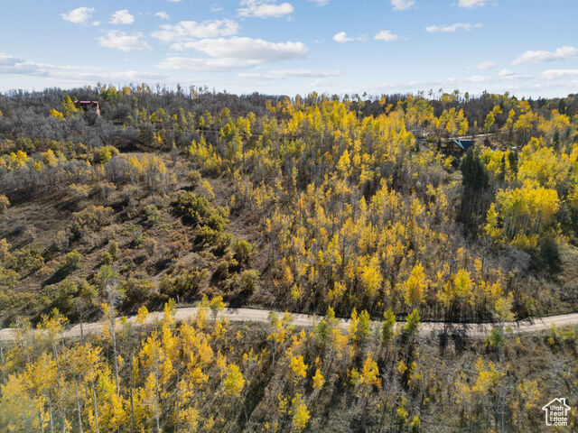 276 W Bear Tooth Rdg 25  Coalville UT 84017 photo