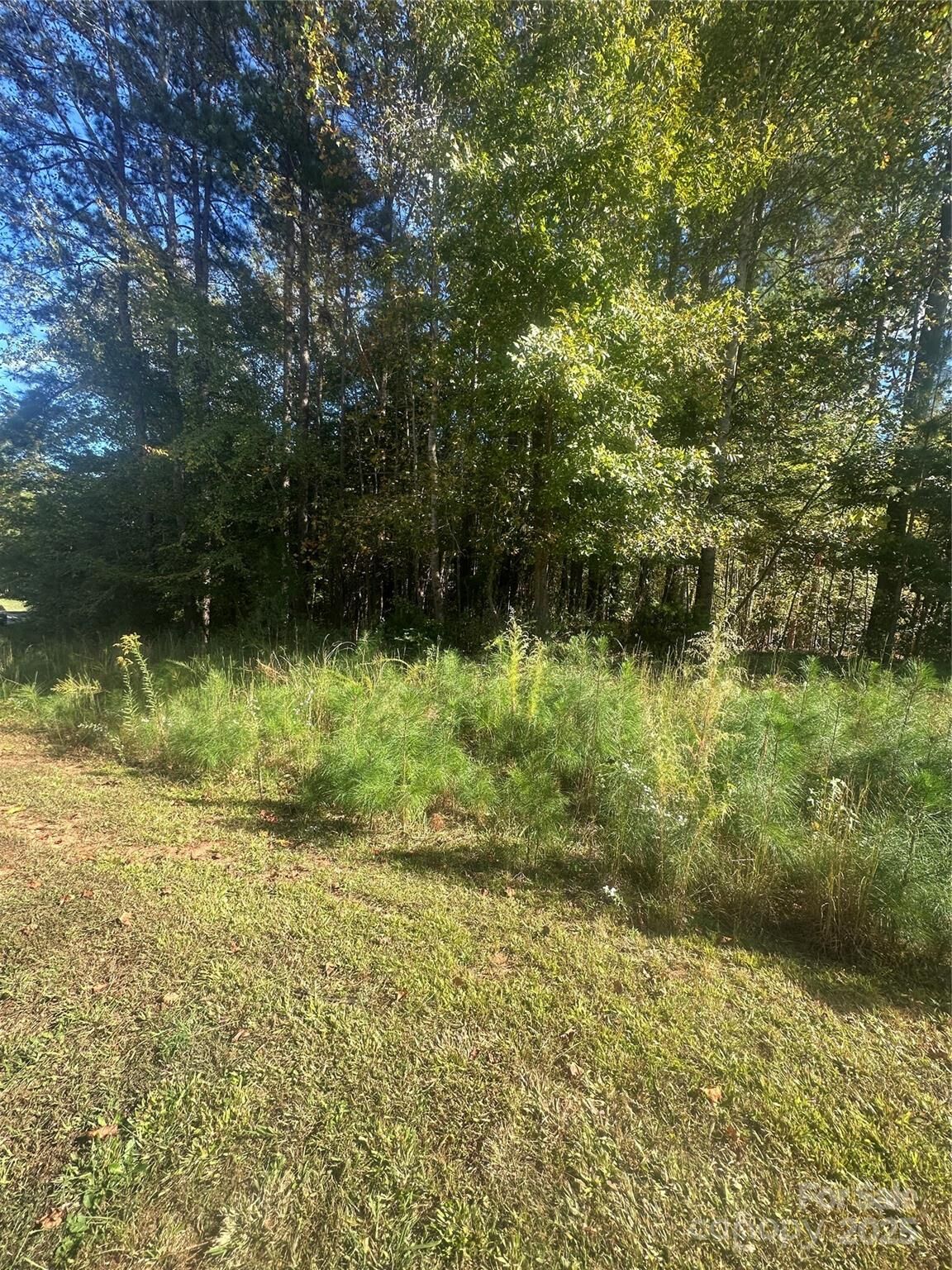 Property Photo: 624 Sunset Pointe Drive NC 28146