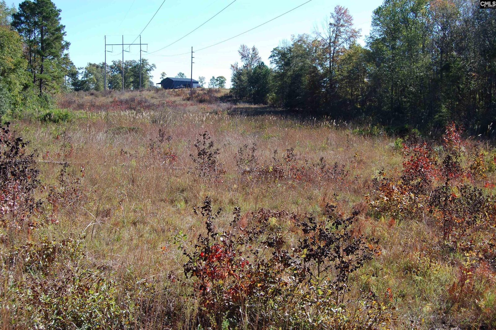 Property Photo: 322 Sandspur SC 29020