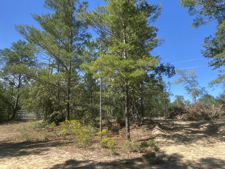 Property Photo: Tbd Camelot Avenue FL 32433