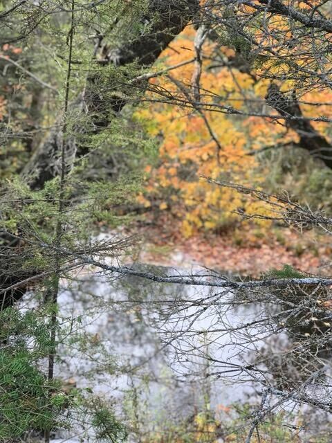 Property Photo:  1860 E Swede Rd  MI 49719