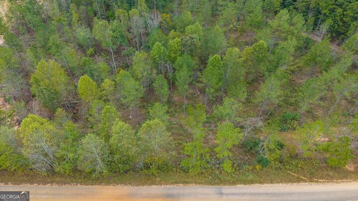 Property Photo:  0 County Road 689  AL 36273 